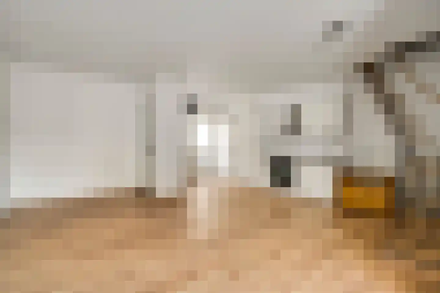 Raadhuisstraat 41 Roermond thumbnail 26