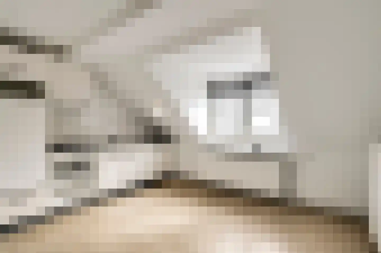 Raadhuisstraat 41 Roermond thumbnail 39