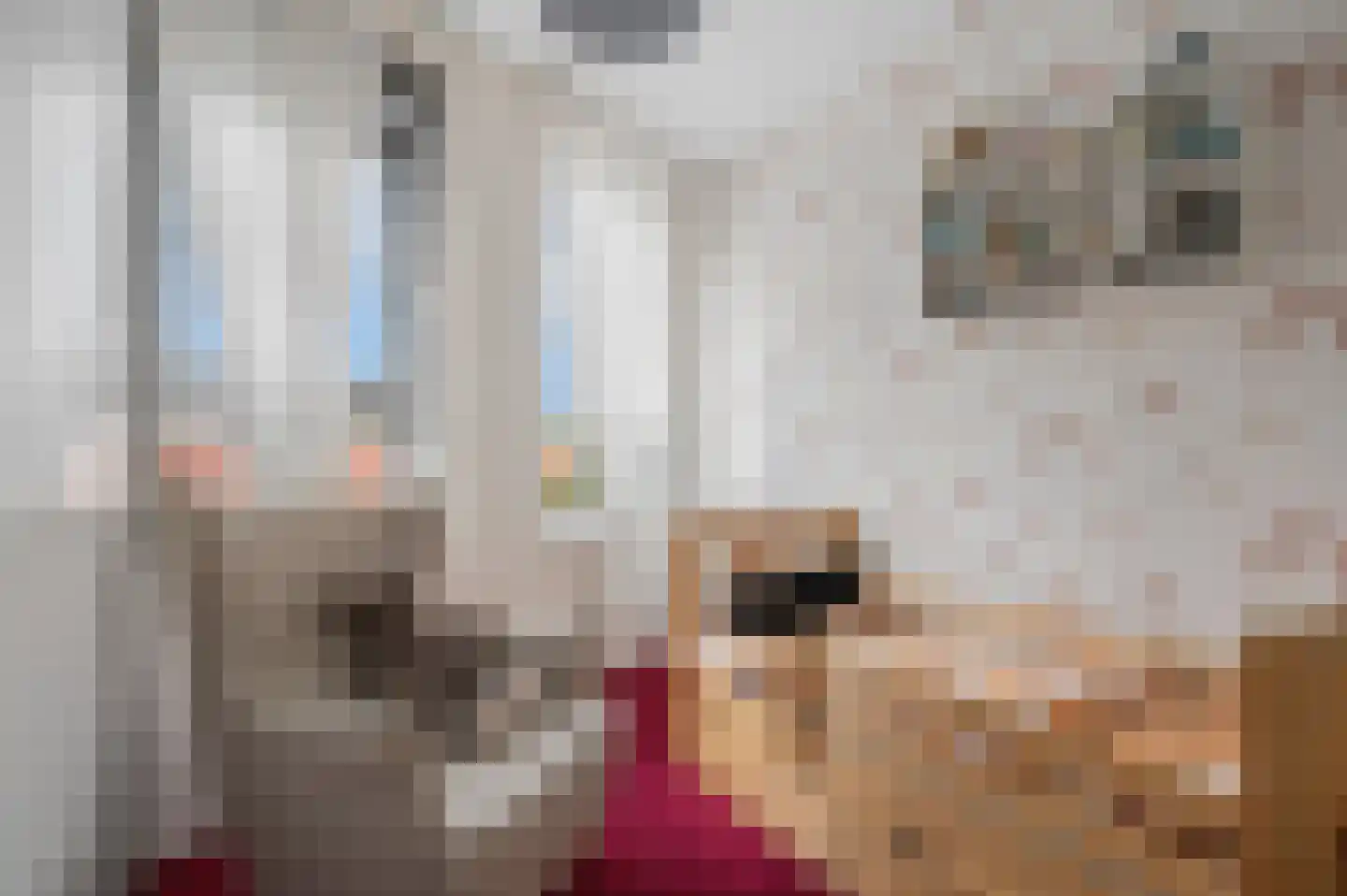 Raadhuisstraat 41 Veenendaal thumbnail 21