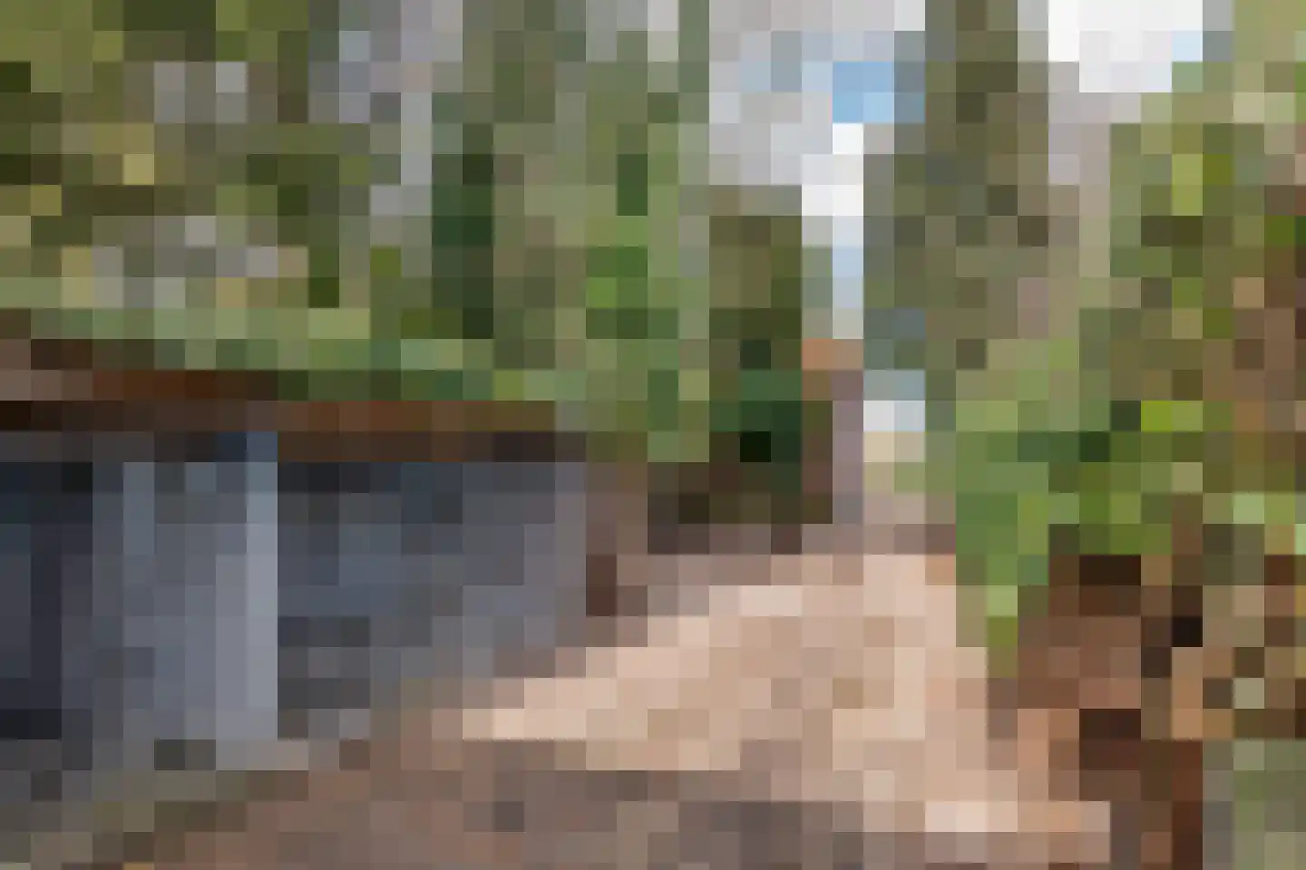 Raadhuisstraat 42 Maurik thumbnail 10