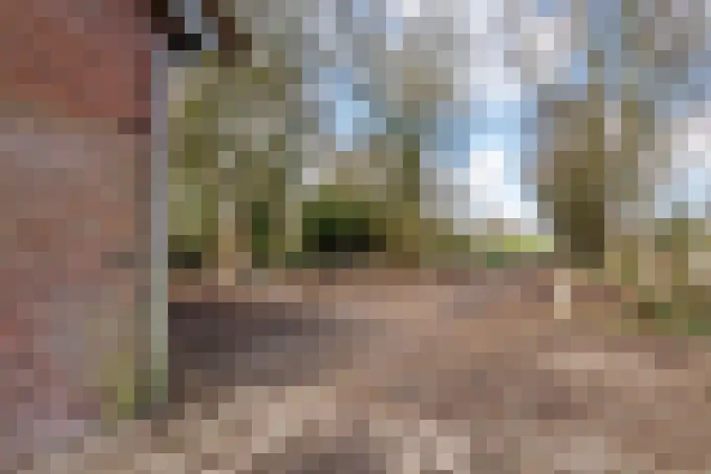 Raadhuisstraat 42 Maurik thumbnail 12