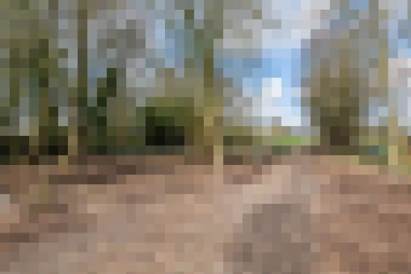 Raadhuisstraat 42 Maurik thumbnail 13