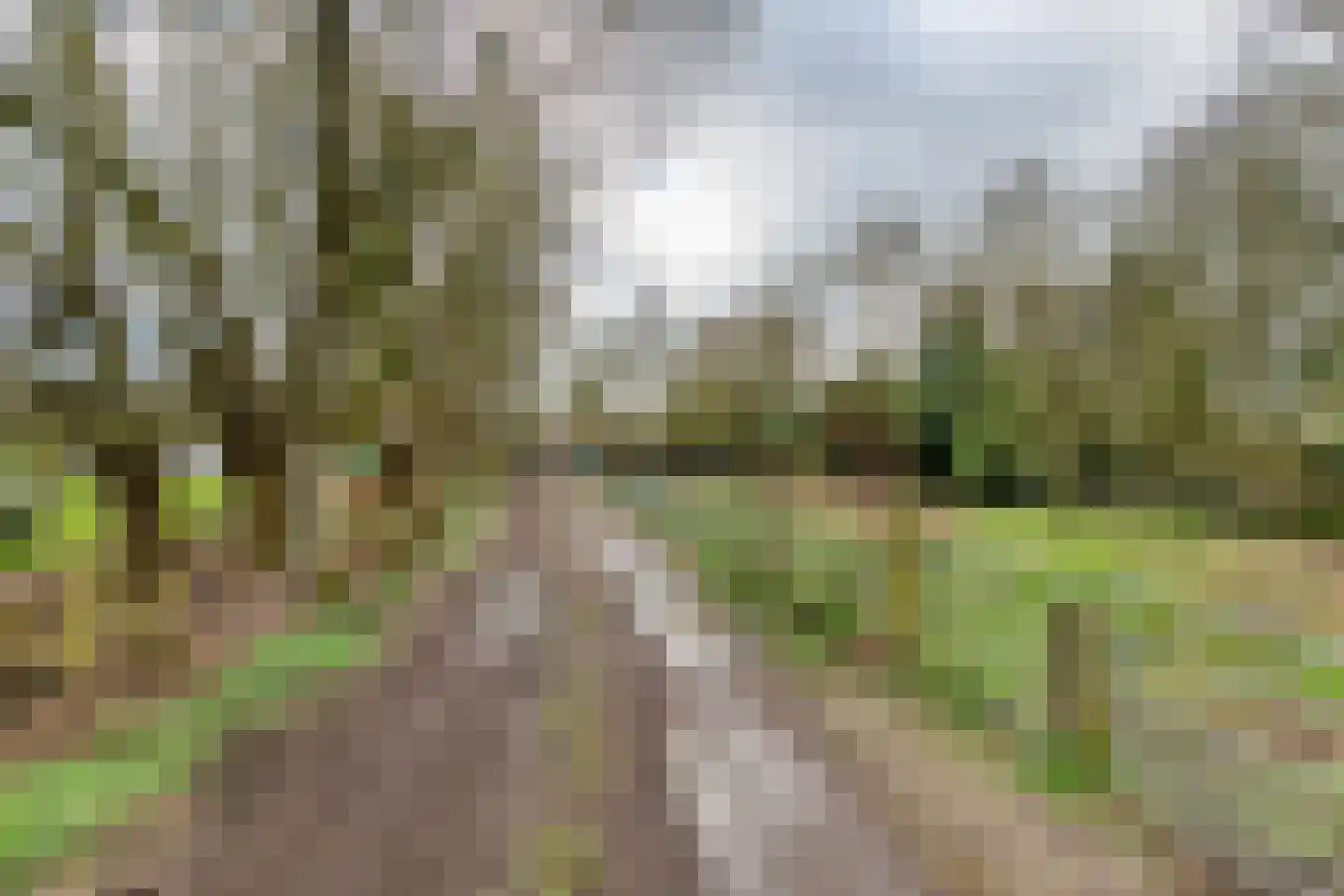 Raadhuisstraat 42 Maurik thumbnail 16