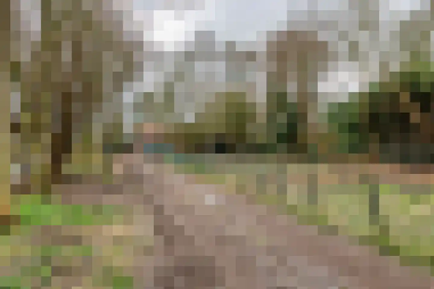 Raadhuisstraat 42 Maurik thumbnail 18
