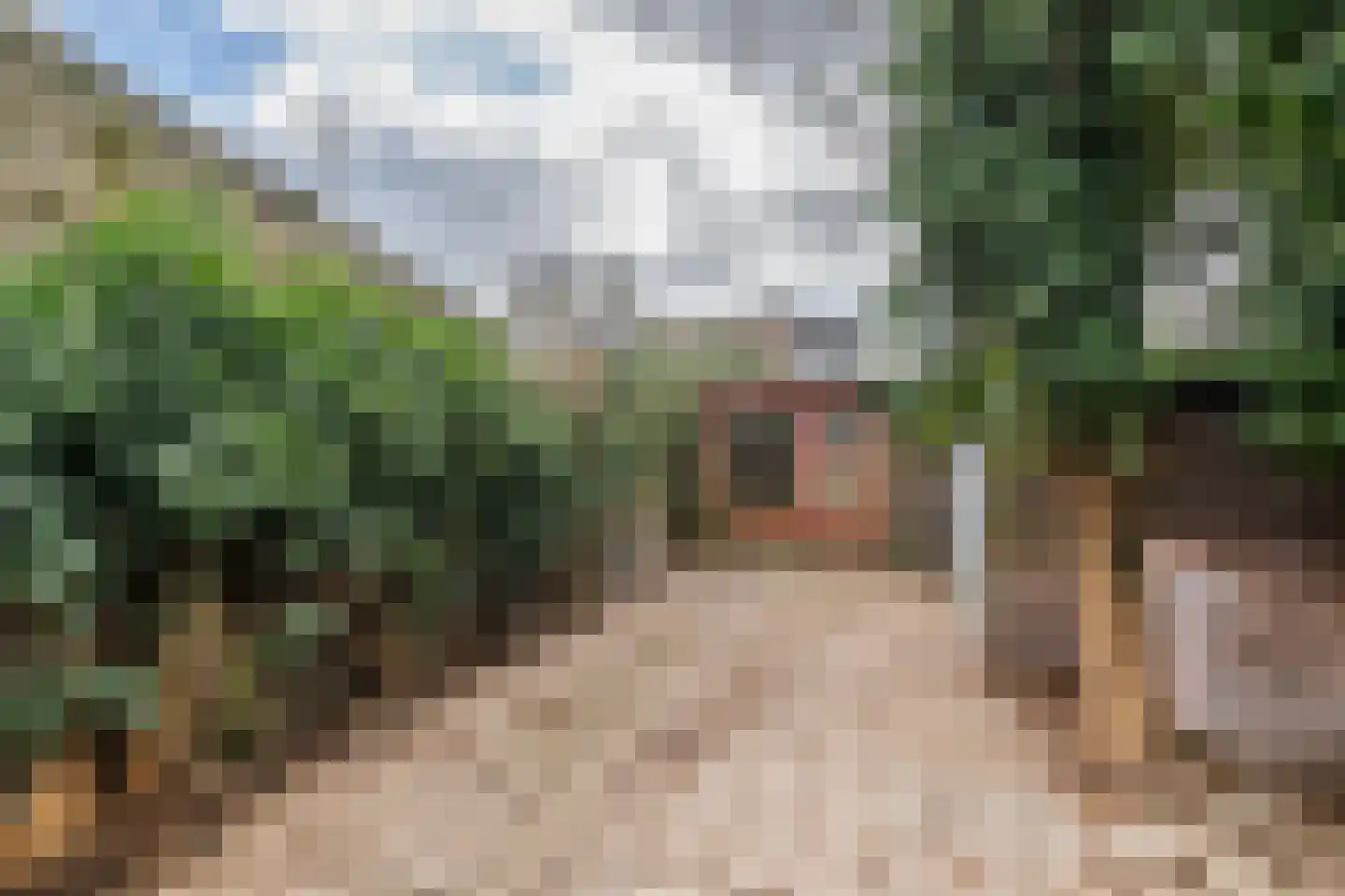 Raadhuisstraat 42 Maurik thumbnail 20