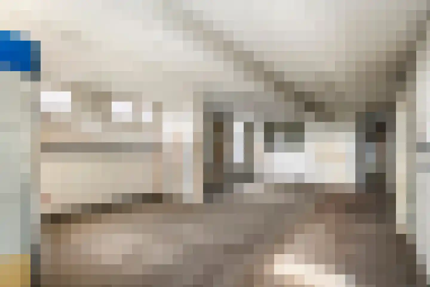 Raadhuisstraat 42 Maurik thumbnail 22