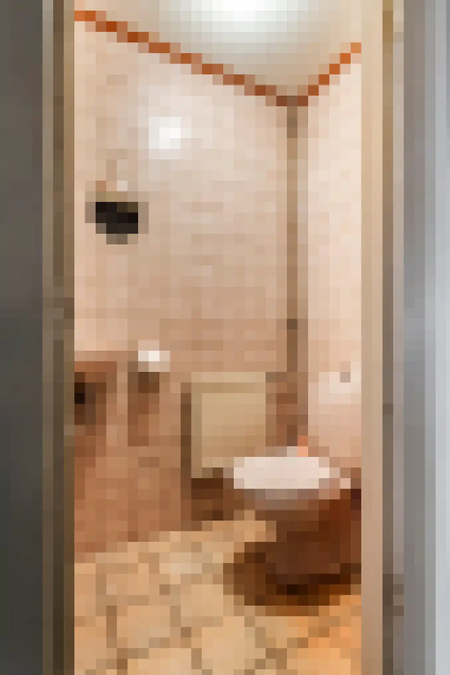 Raadhuisstraat 42 Maurik thumbnail 24