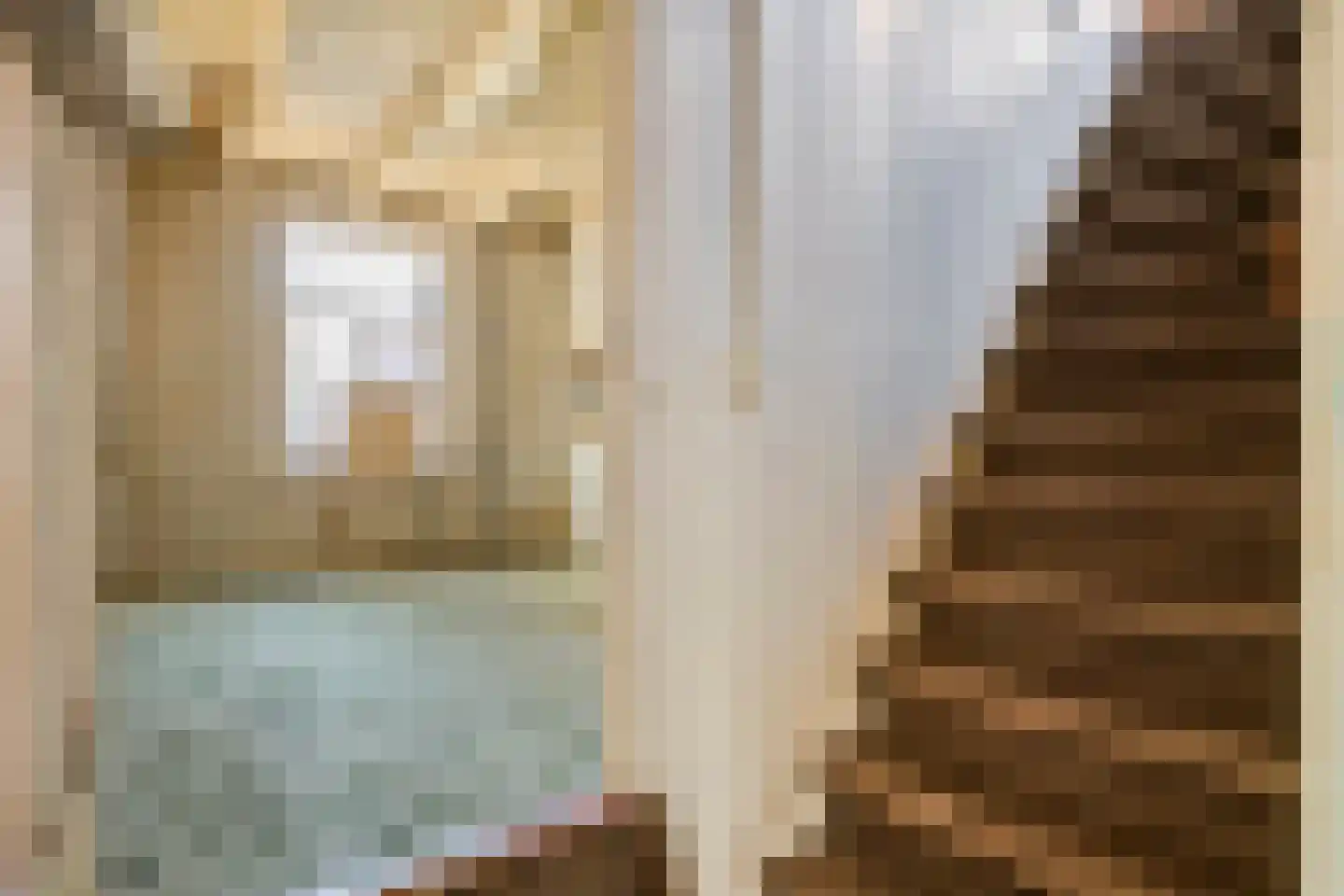 Raadhuisstraat 42 Maurik thumbnail 26