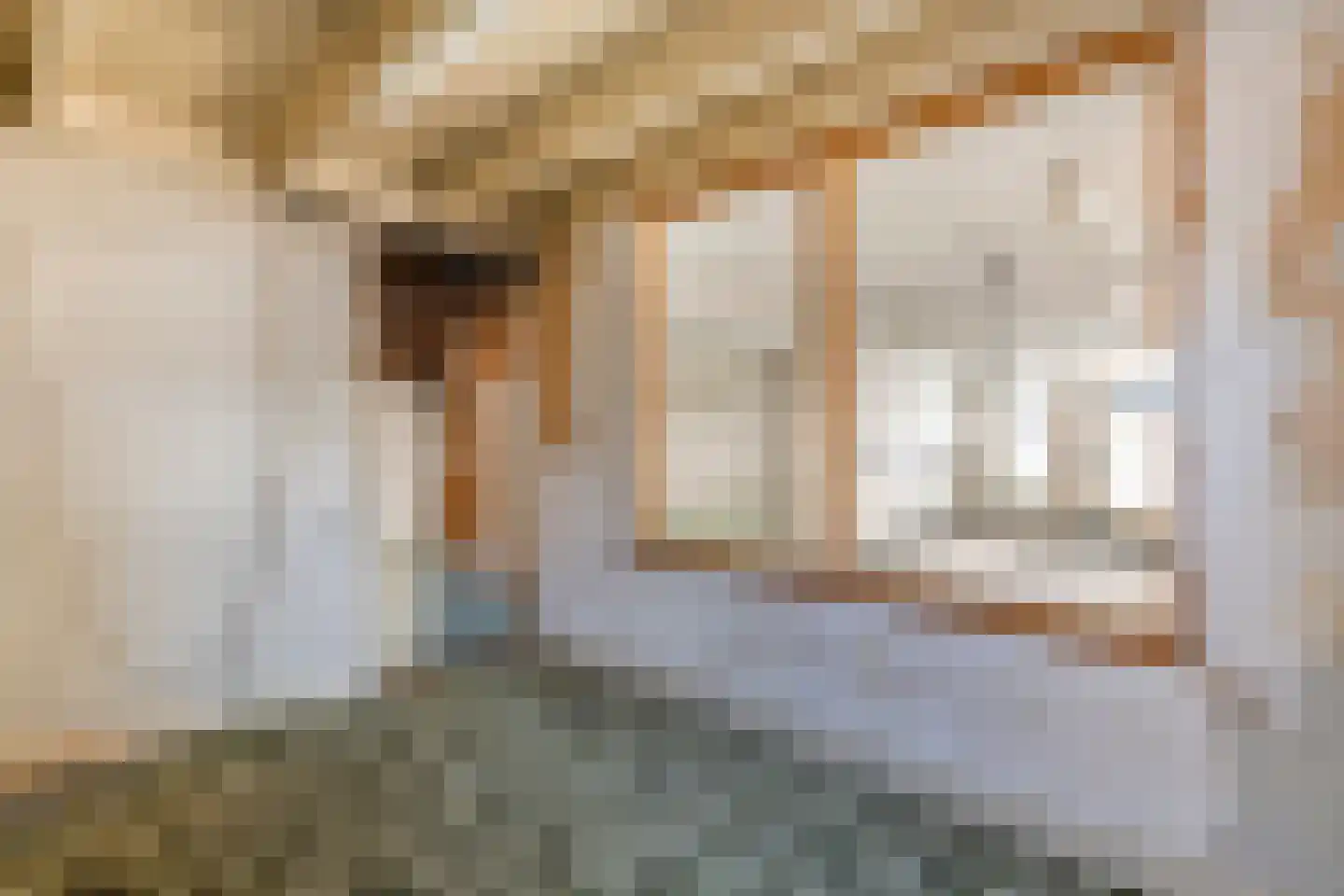 Raadhuisstraat 42 Maurik thumbnail 27