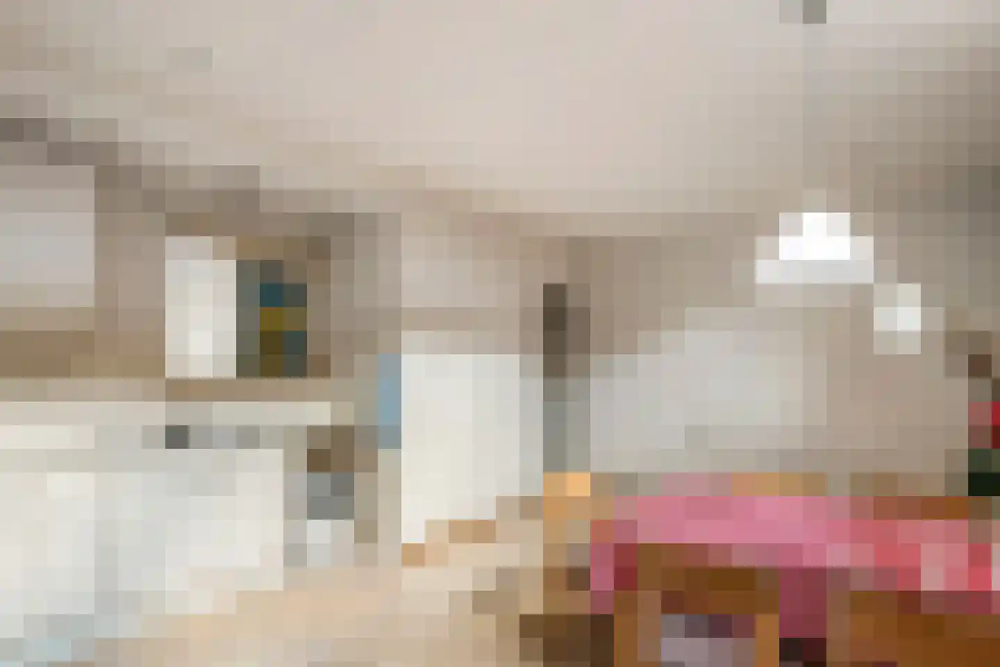 Raadhuisstraat 42 Maurik thumbnail 30