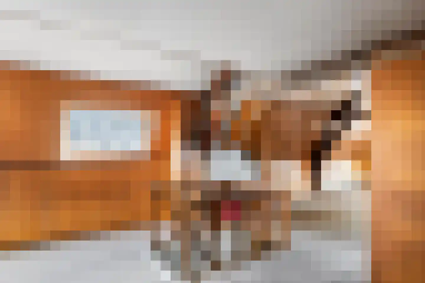 Raadhuisstraat 42 Maurik thumbnail 33