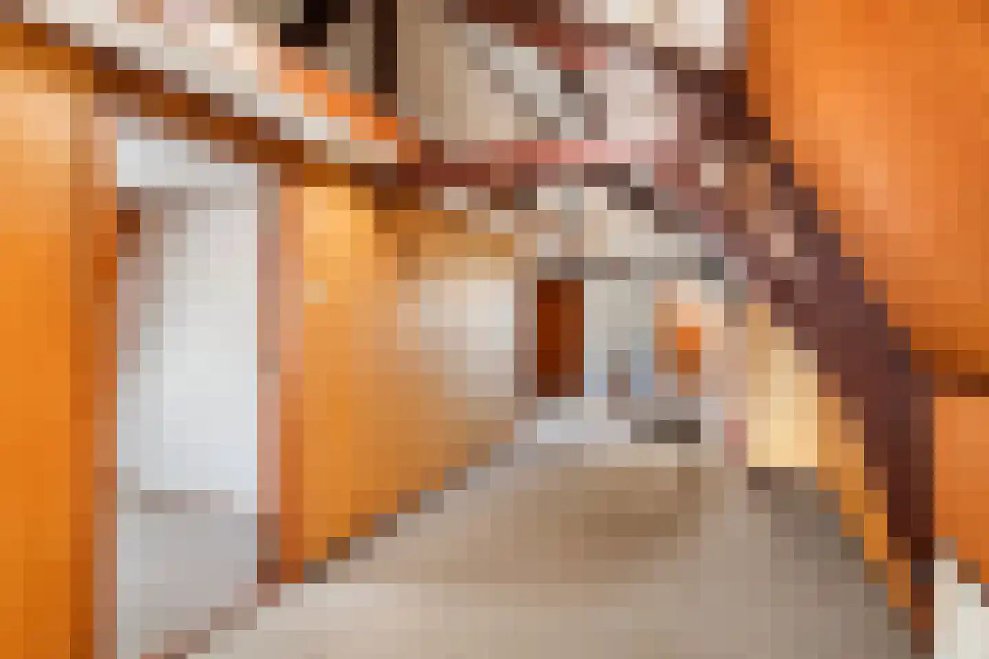 Raadhuisstraat 42 Maurik thumbnail 35