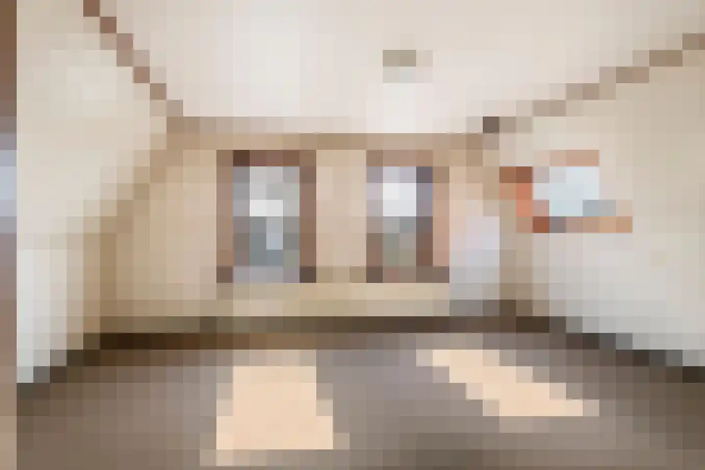 Raadhuisstraat 42 Maurik thumbnail 36