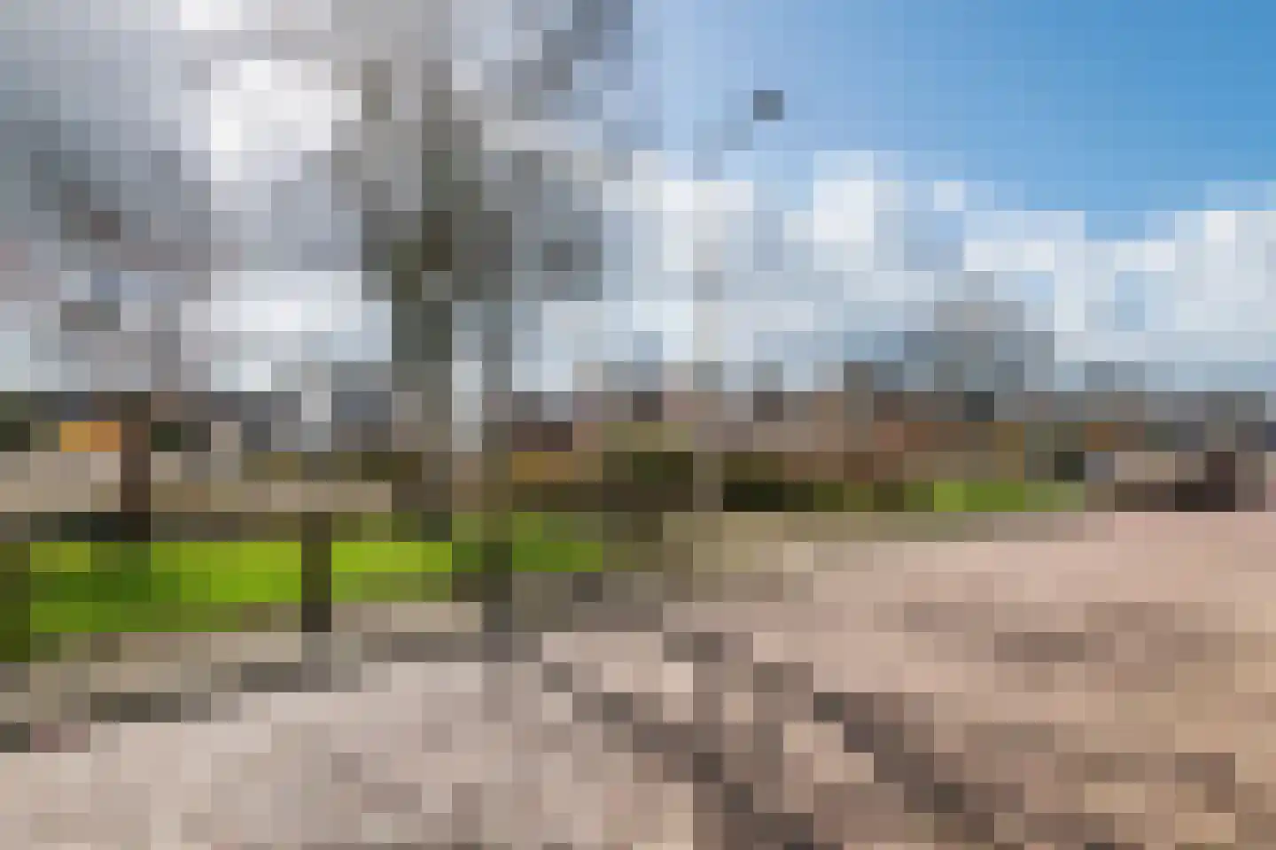 Raadhuisstraat 42 Maurik thumbnail 4