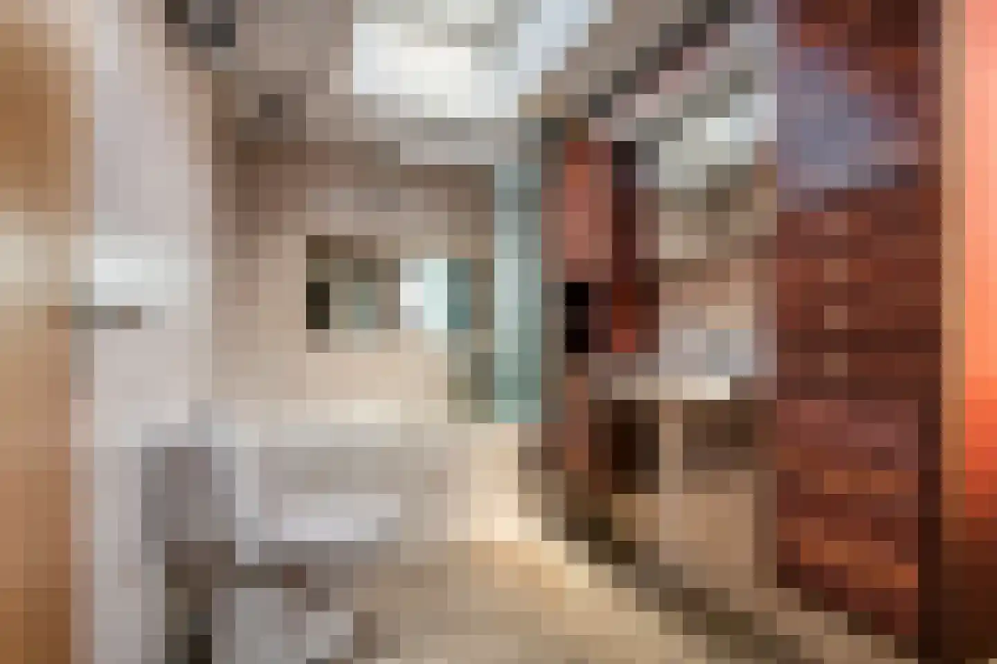 Raadhuisstraat 42 Maurik thumbnail 46