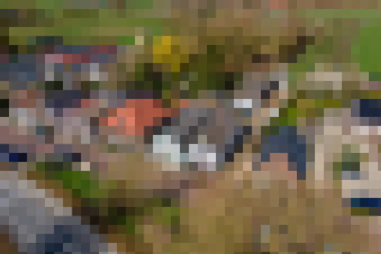 Raadhuisstraat 42 Maurik thumbnail 48