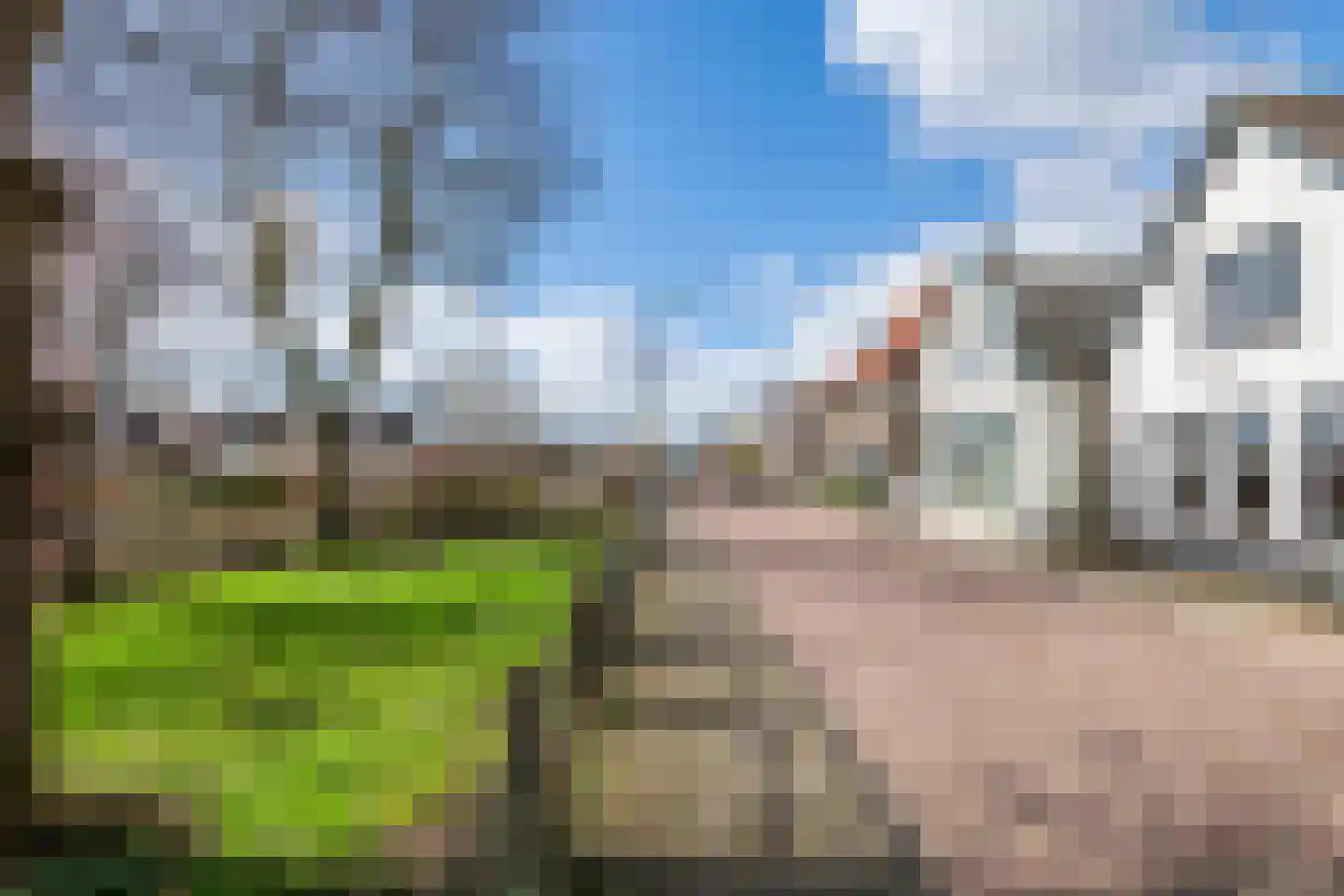 Raadhuisstraat 42 Maurik thumbnail 5
