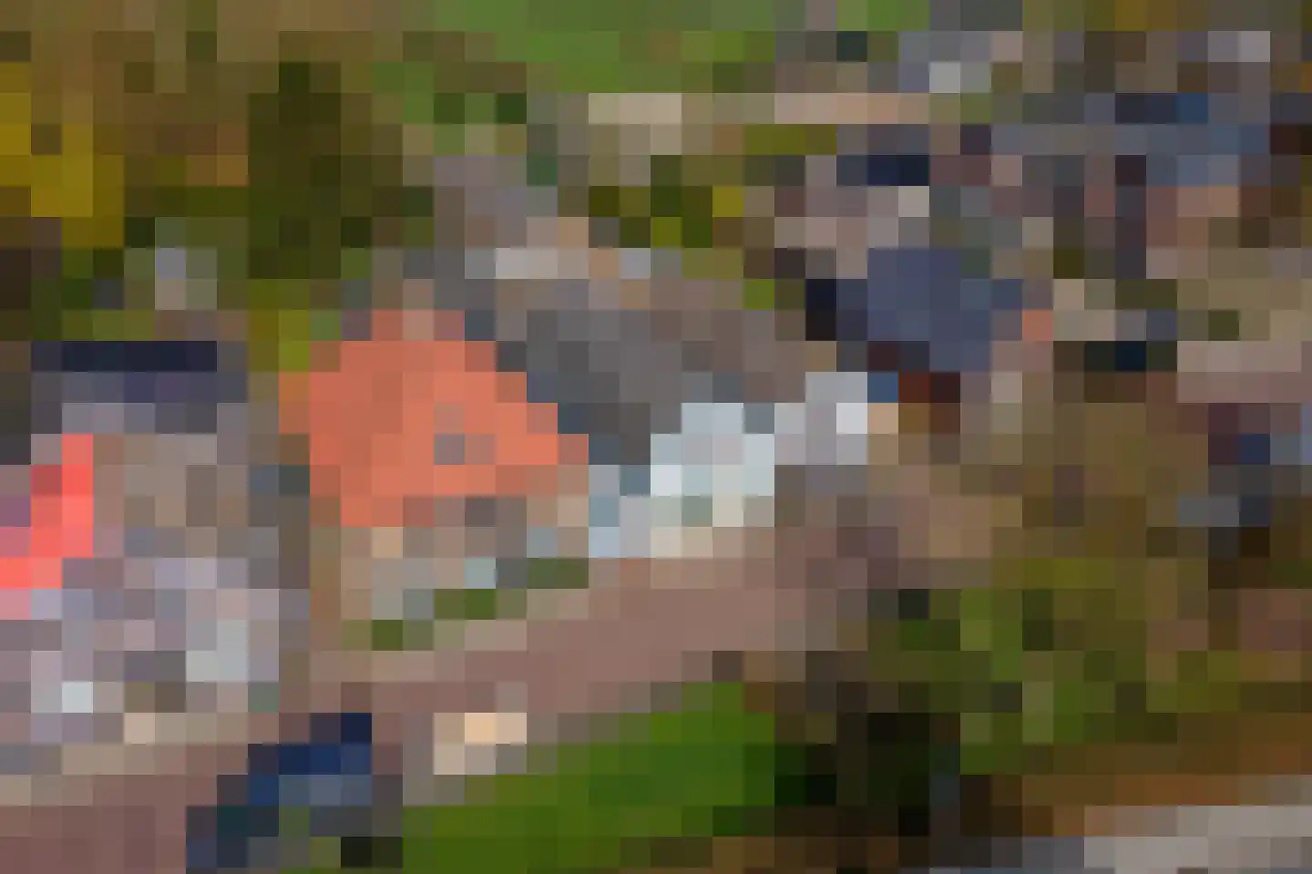Raadhuisstraat 42 Maurik thumbnail 52