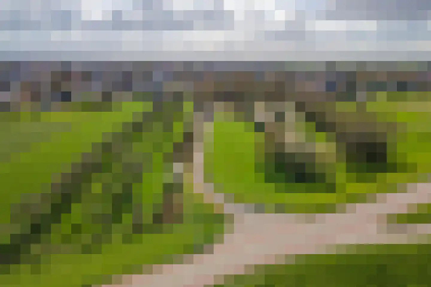 Raadhuisstraat 42 Maurik thumbnail 56