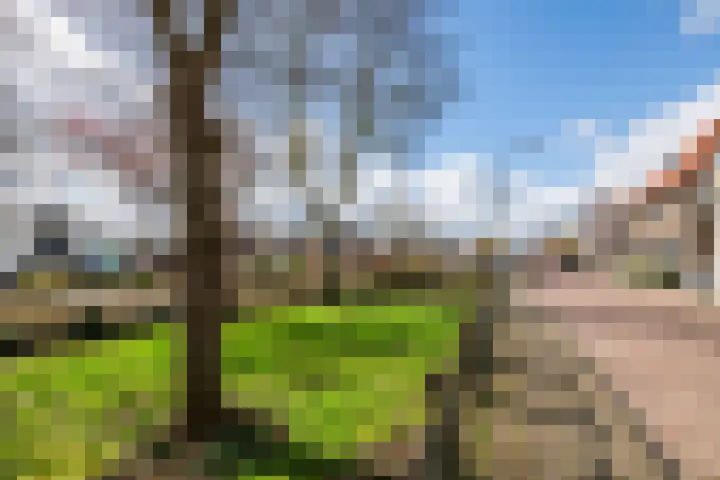 Raadhuisstraat 42 Maurik thumbnail 6