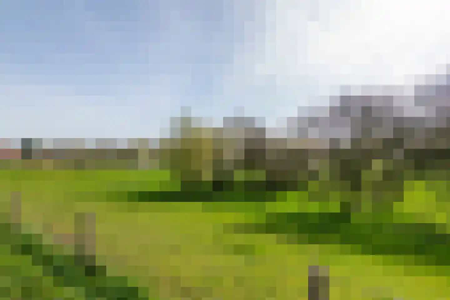 Raadhuisstraat 42 Maurik thumbnail 60