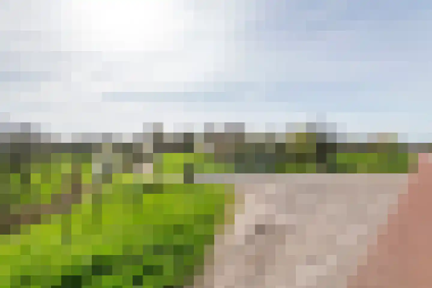 Raadhuisstraat 42 Maurik thumbnail 61