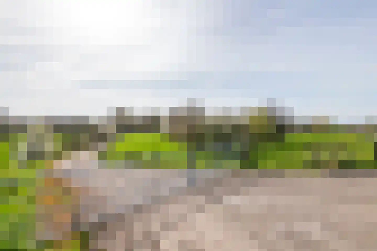 Raadhuisstraat 42 Maurik thumbnail 62