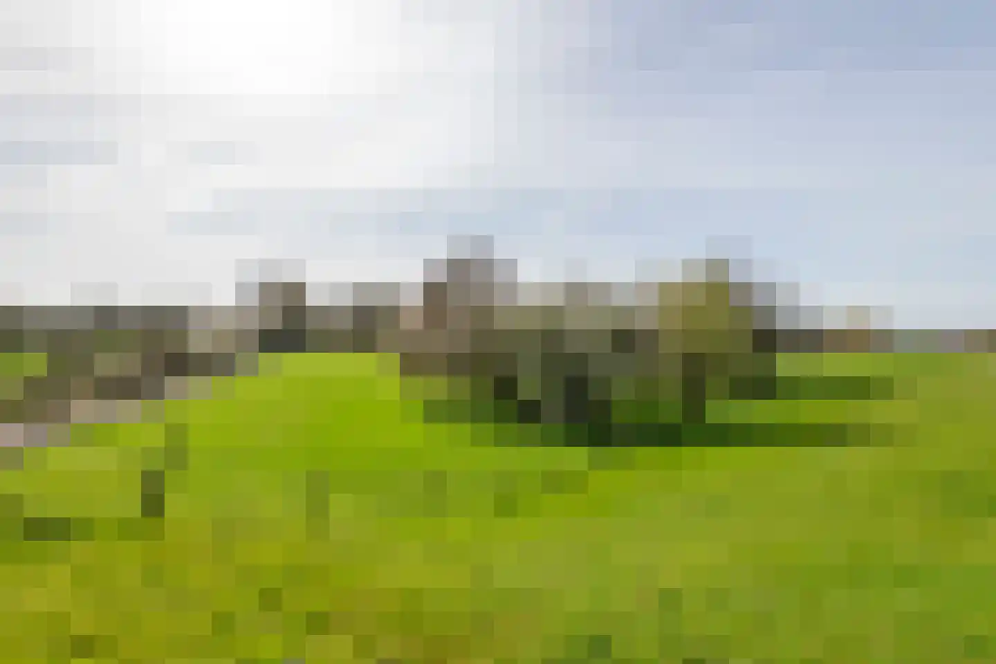 Raadhuisstraat 42 Maurik thumbnail 63