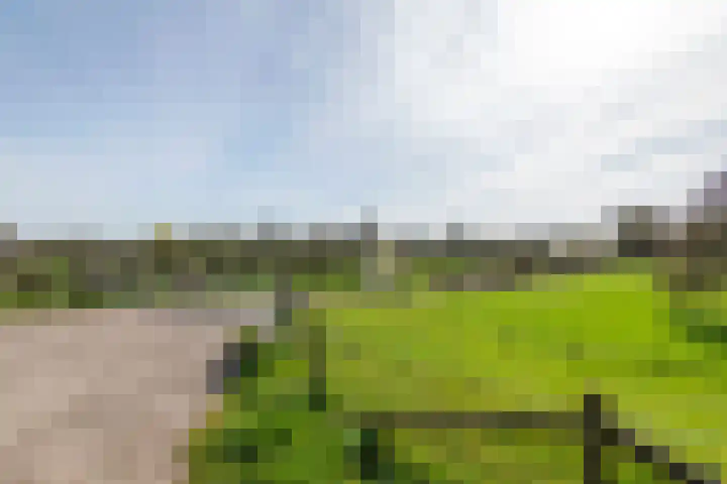 Raadhuisstraat 42 Maurik thumbnail 65