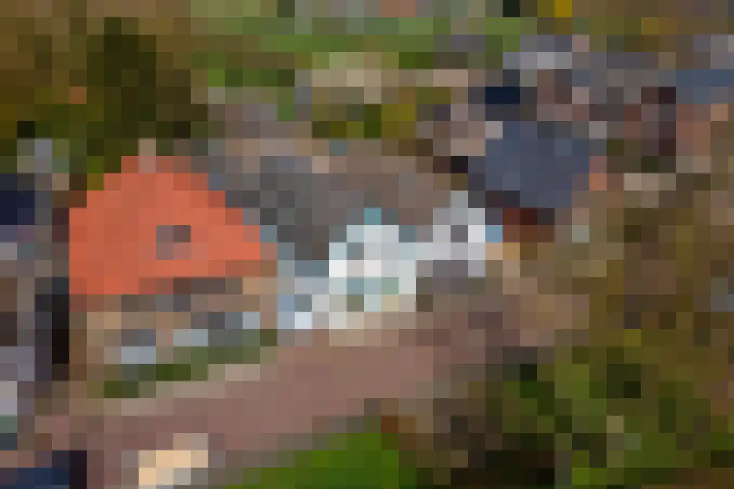 Raadhuisstraat 42 Maurik thumbnail 67