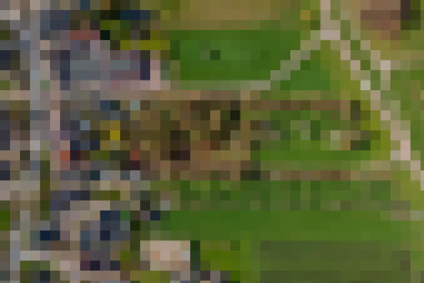 Raadhuisstraat 42 Maurik thumbnail 69