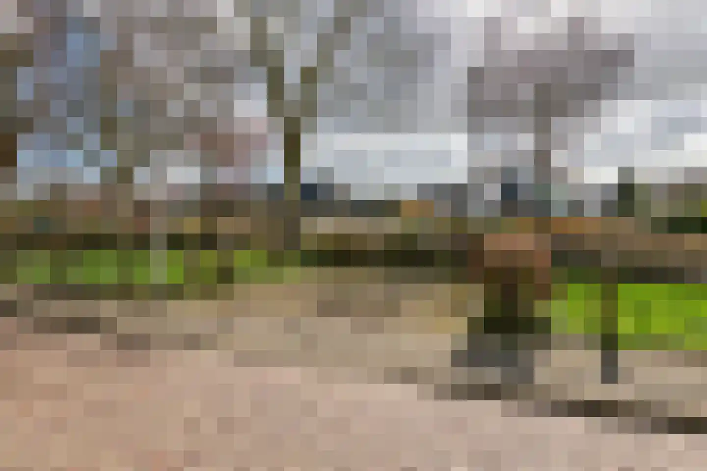 Raadhuisstraat 42 Maurik thumbnail 9