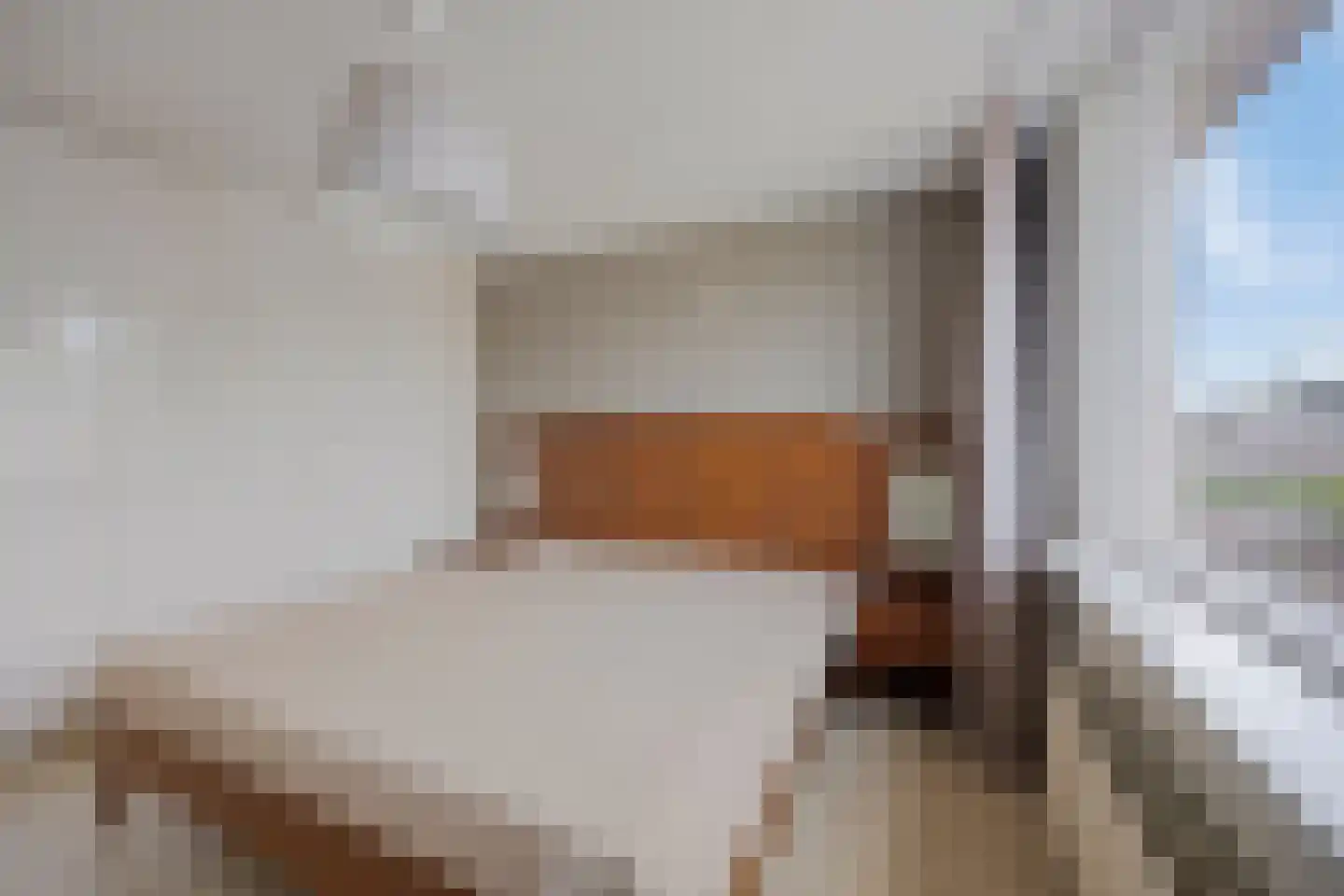 Raadhuisstraat 42 Westwoud thumbnail 15