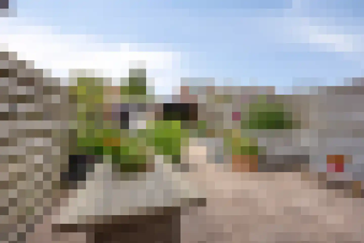 Raadhuisstraat 42 Westwoud thumbnail 23