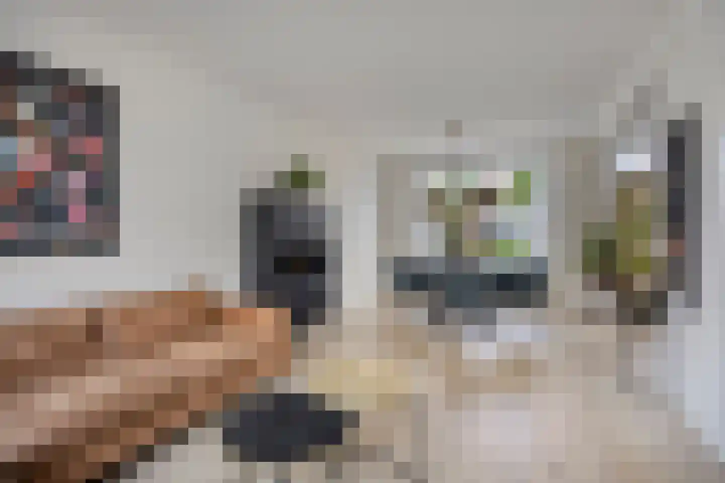 Raadhuisstraat 42 Westwoud thumbnail 8