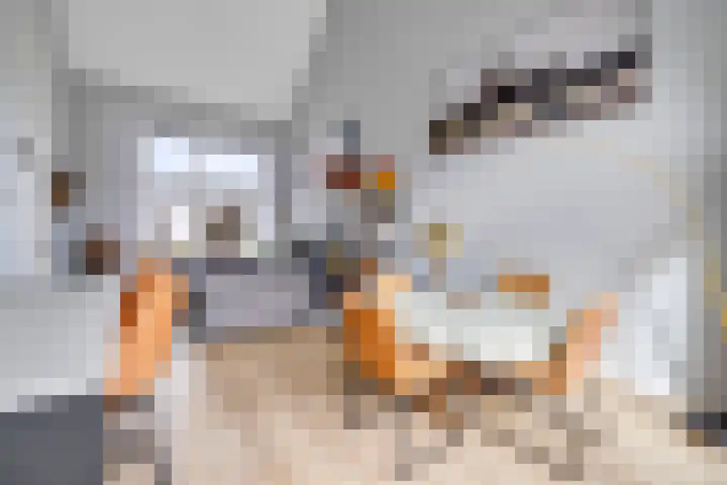 Raadhuisstraat 42 Zuidland thumbnail 10