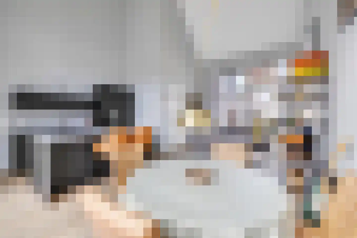 Raadhuisstraat 42 Zuidland thumbnail 11