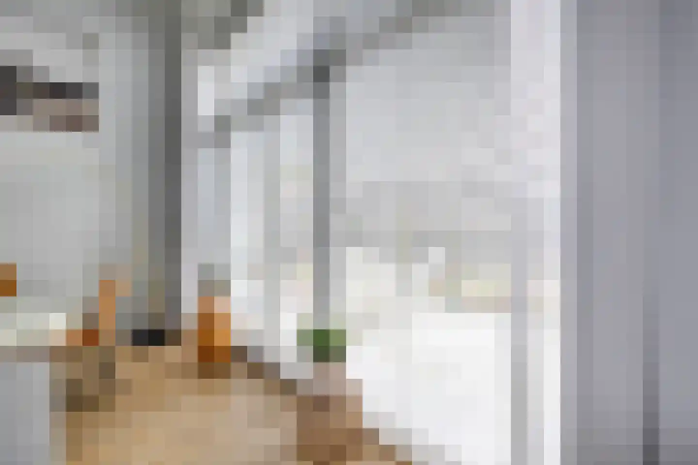 Raadhuisstraat 42 Zuidland thumbnail 12