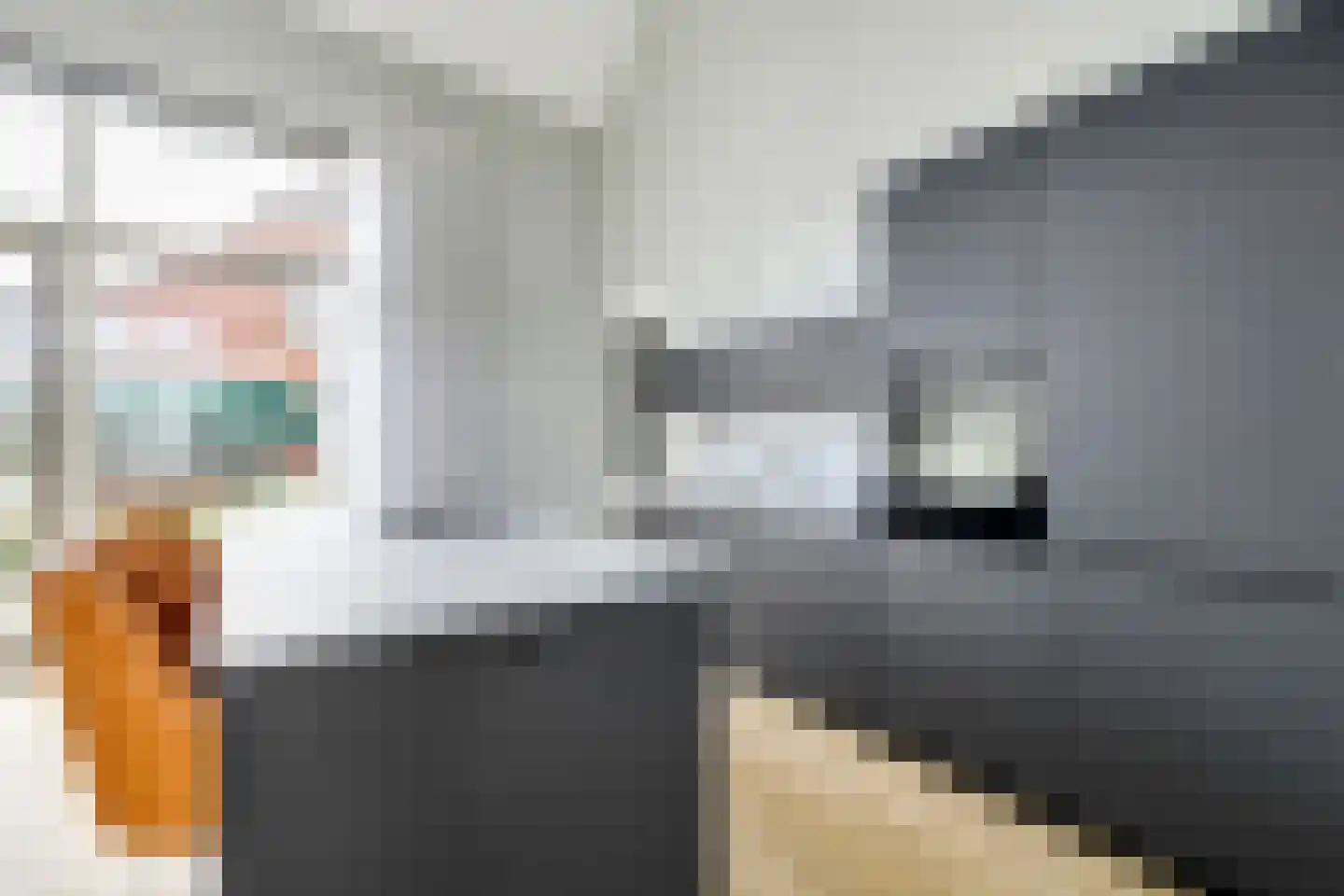 Raadhuisstraat 42 Zuidland thumbnail 13