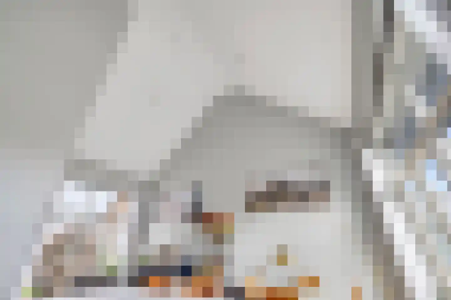 Raadhuisstraat 42 Zuidland thumbnail 15