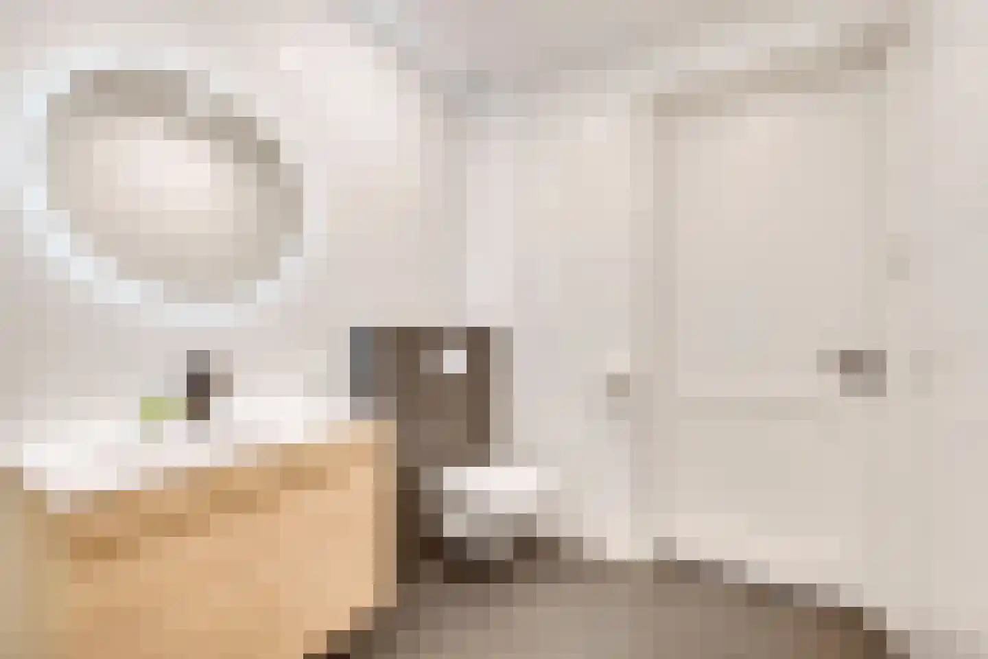 Raadhuisstraat 42 Zuidland thumbnail 21