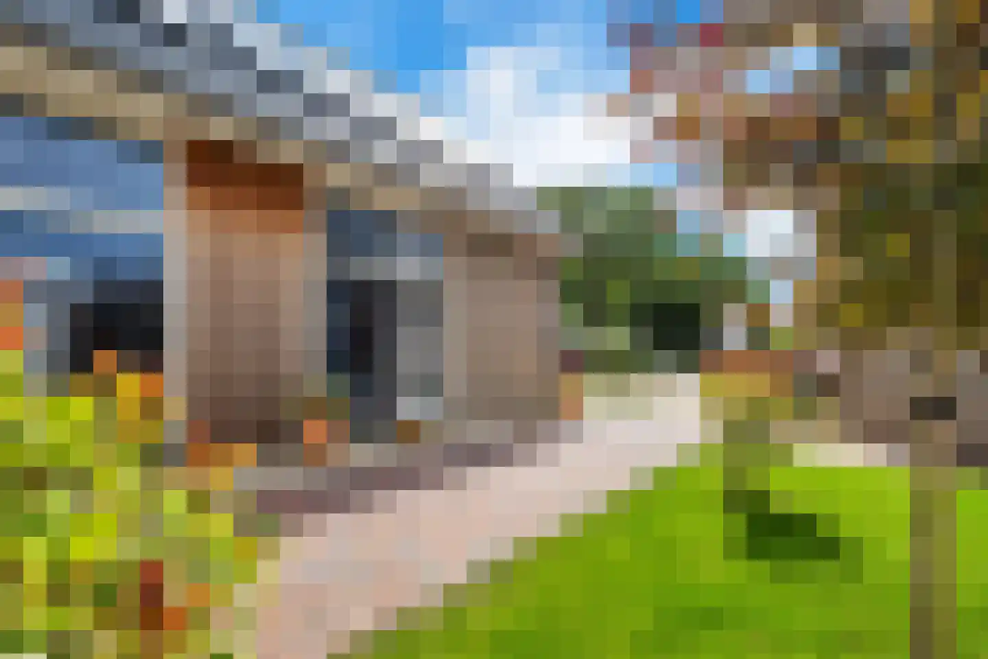 Raadhuisstraat 42 Zuidland thumbnail 24