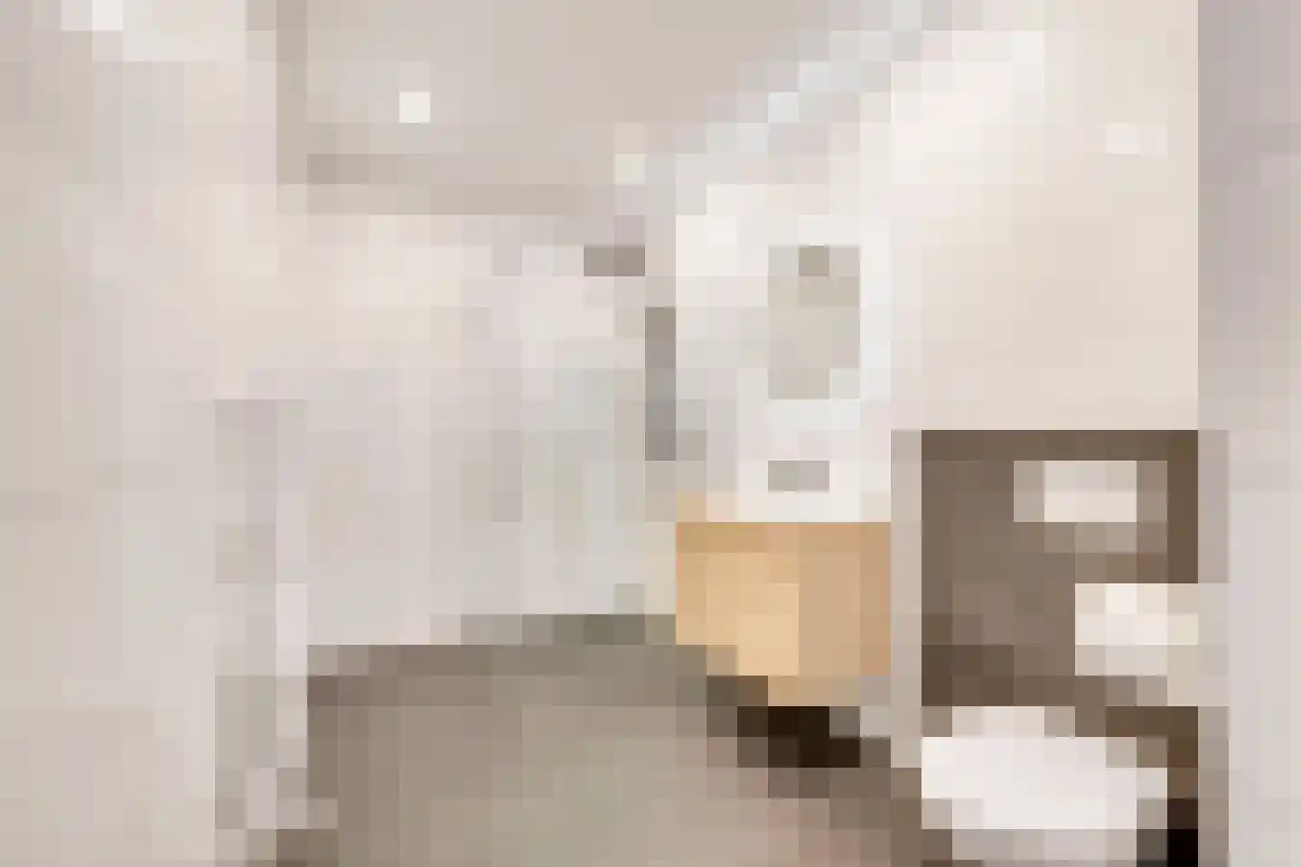 Raadhuisstraat 42 Zuidland thumbnail 4
