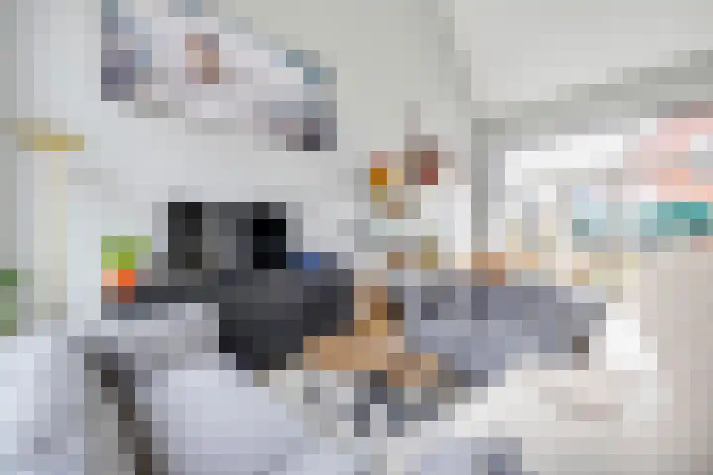 Raadhuisstraat 42 Zuidland thumbnail 9