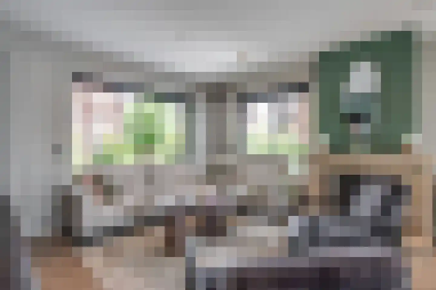 Raadhuisstraat 43 Oudorp thumbnail 15