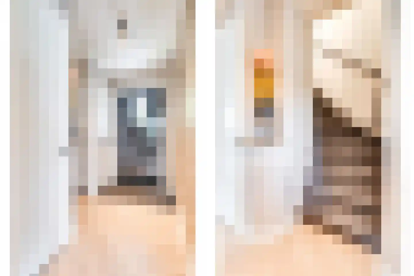Raadhuisstraat 43 Oudorp thumbnail 18