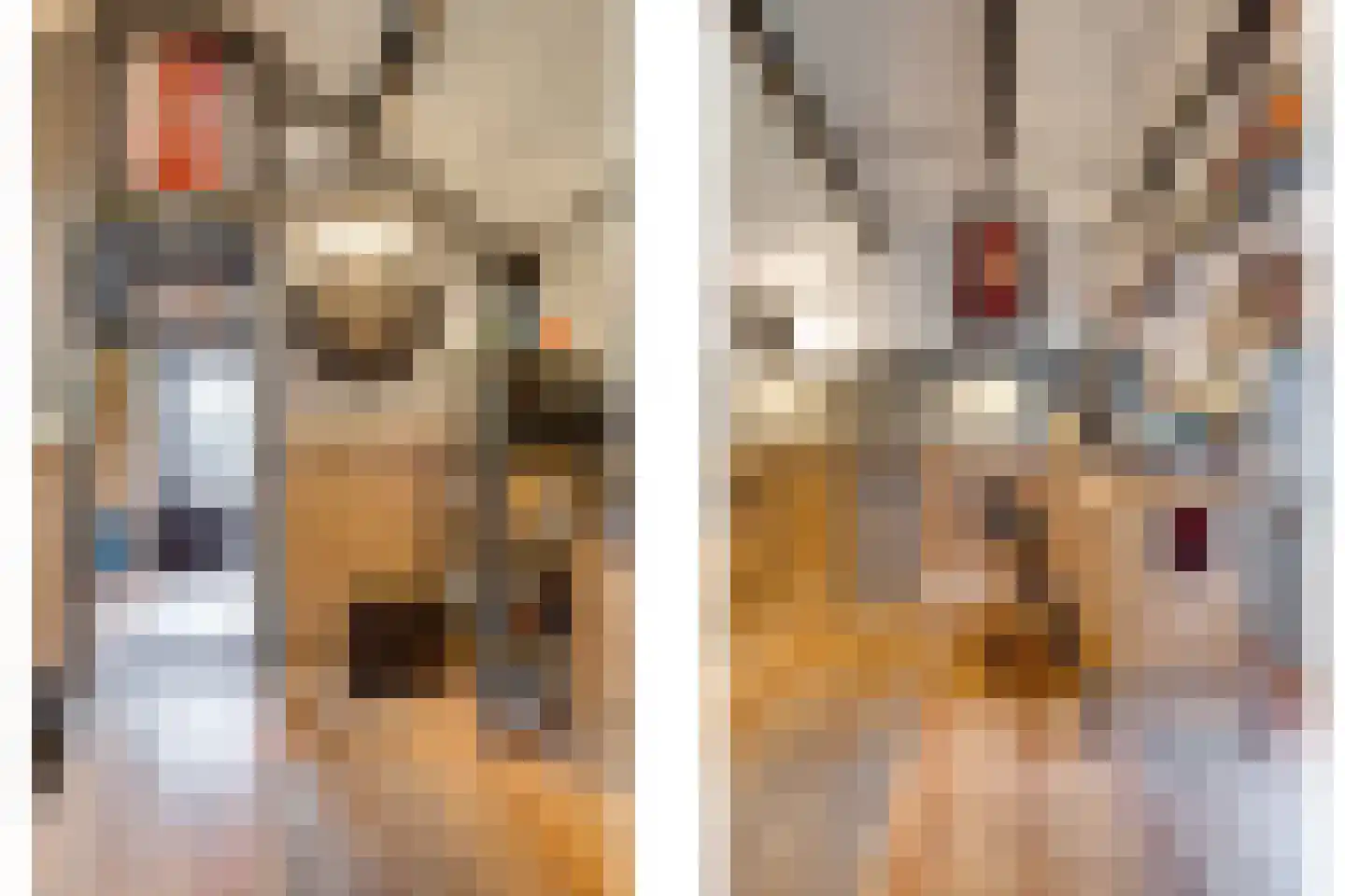 Raadhuisstraat 43 Oudorp thumbnail 38