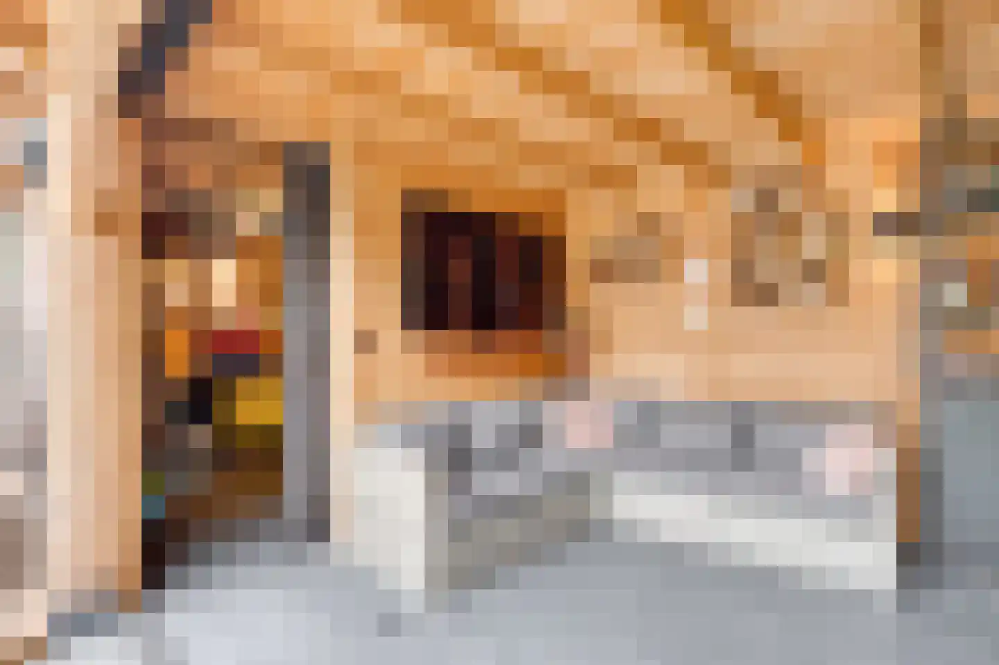 Raadhuisstraat 43 Oudorp thumbnail 47