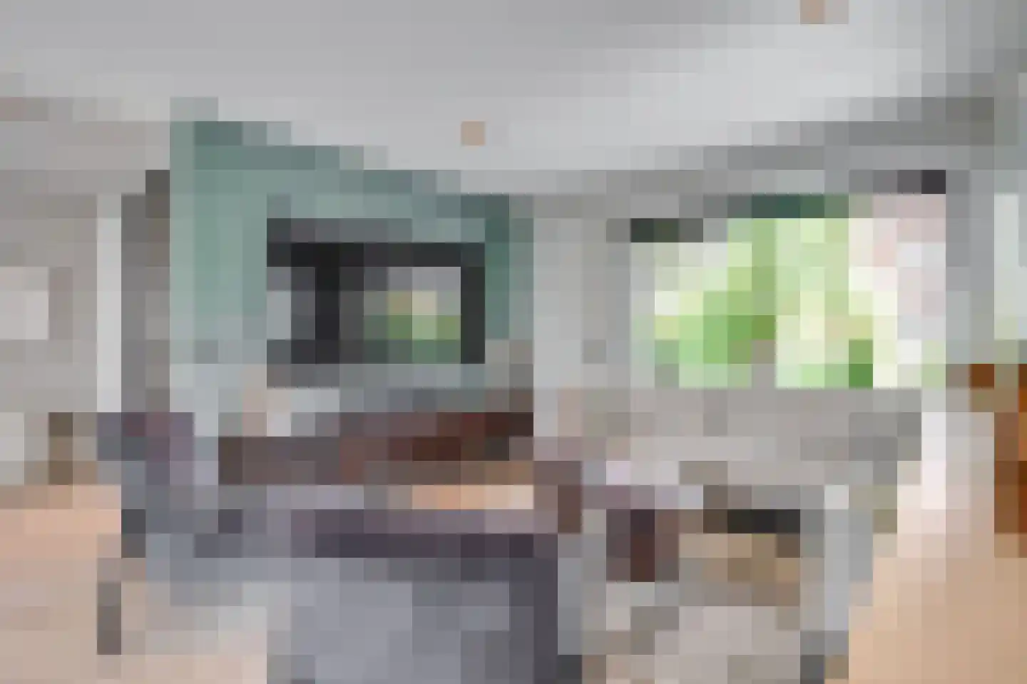 Raadhuisstraat 43 Oudorp thumbnail 5