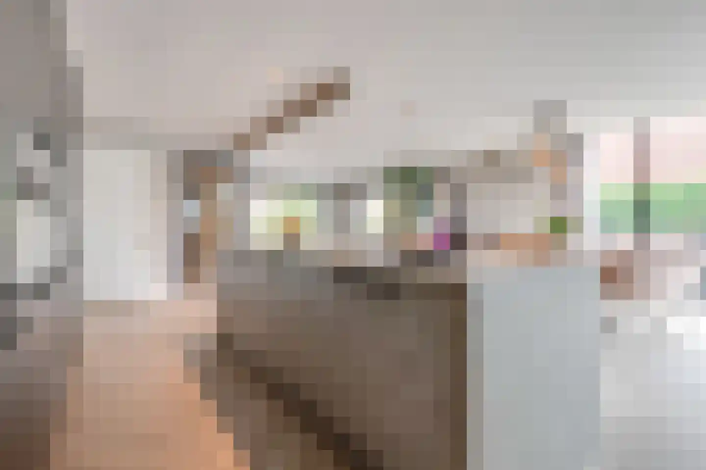 Raadhuisstraat 43 Oudorp thumbnail 7